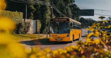 Conselho dos Transportes não terá vereadores